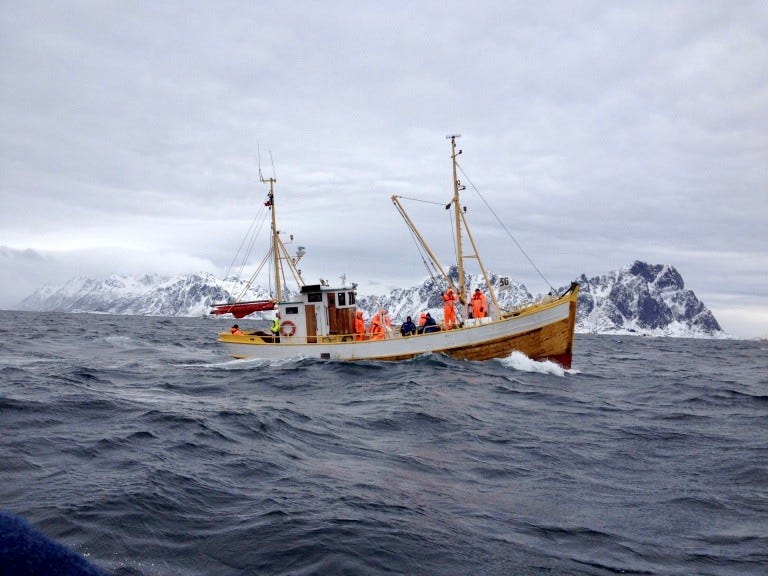 Vi er Lofotens nærmeste nabo - men på fastlandet Galleribilde