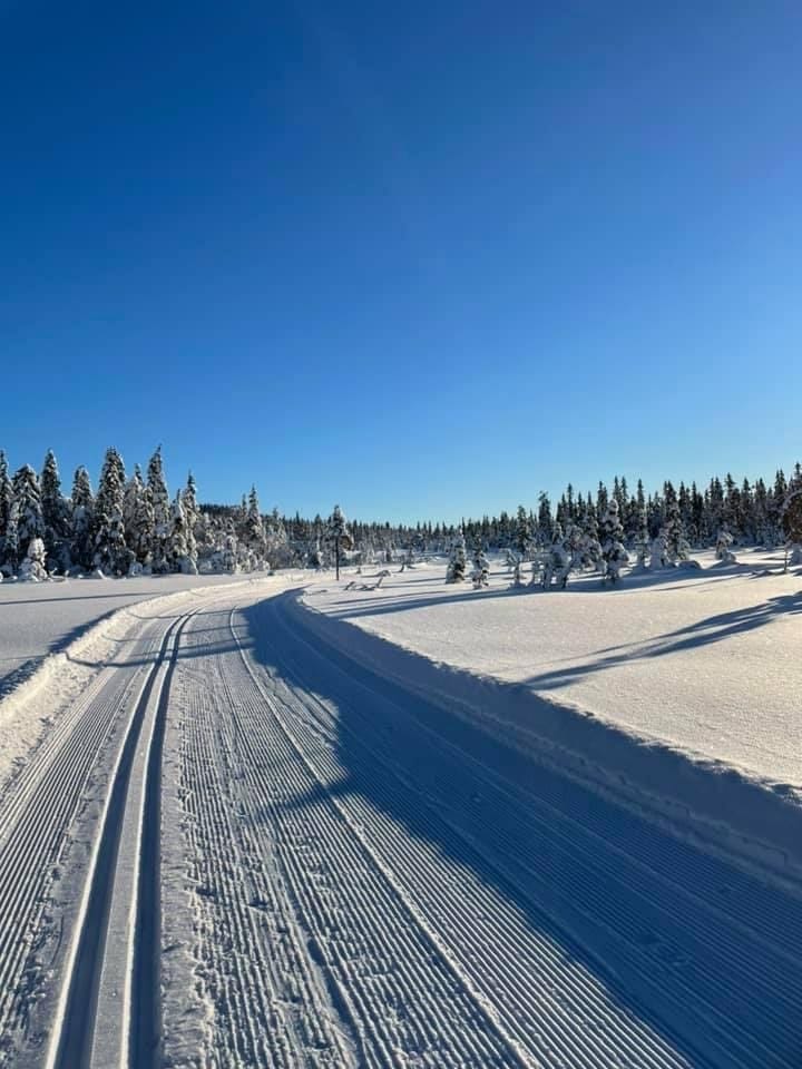 Spenn på deg skia og gå rett ut i Birkentrasèen Galleribilde