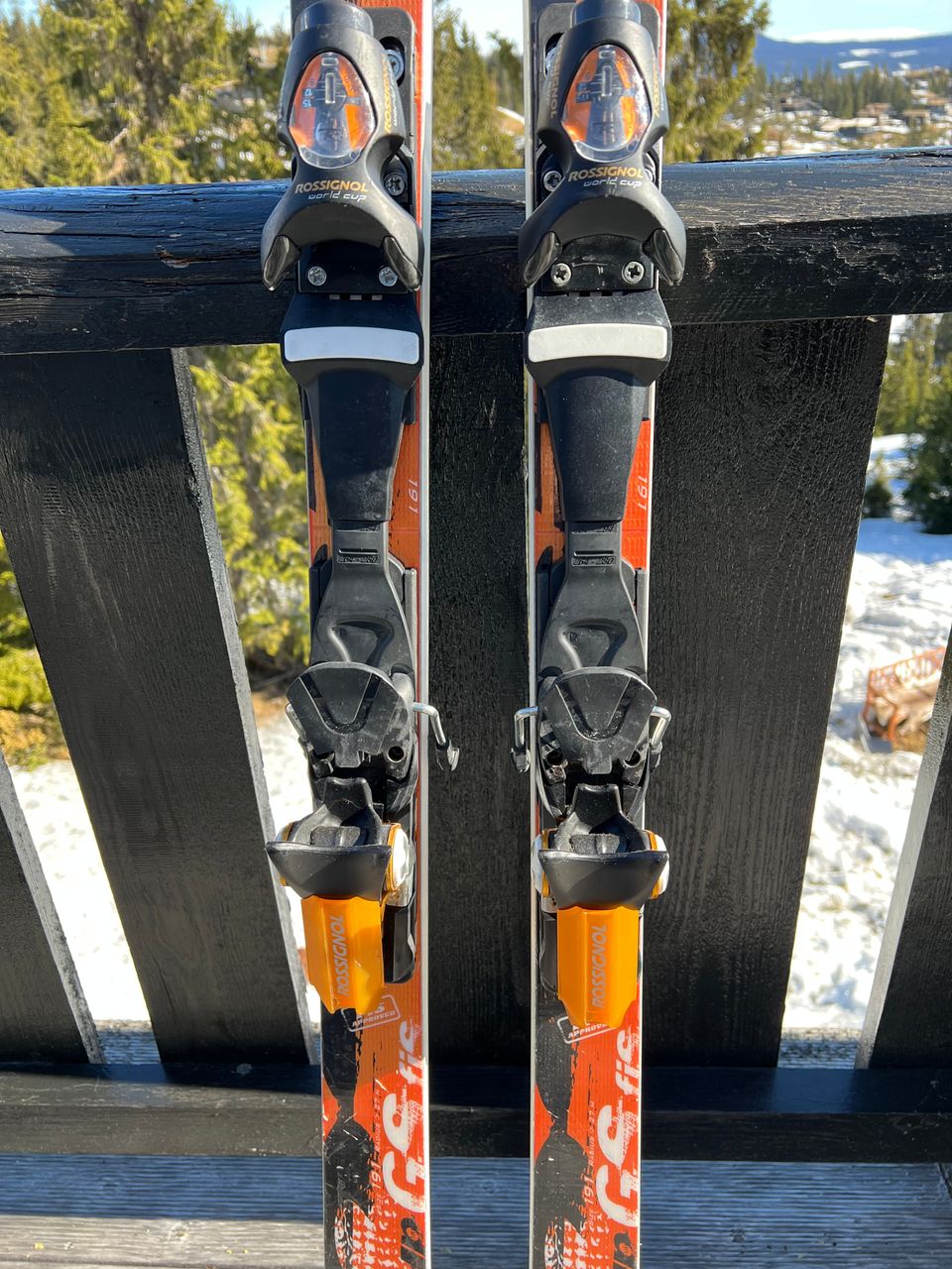 ROSSIGNOL - ロシニョール　WORLD CUP GS FIS ラディウス：191cm 27m ROSSIGNOL - ロシニョール WORLD CUP GS FIS ラディウス：191cm