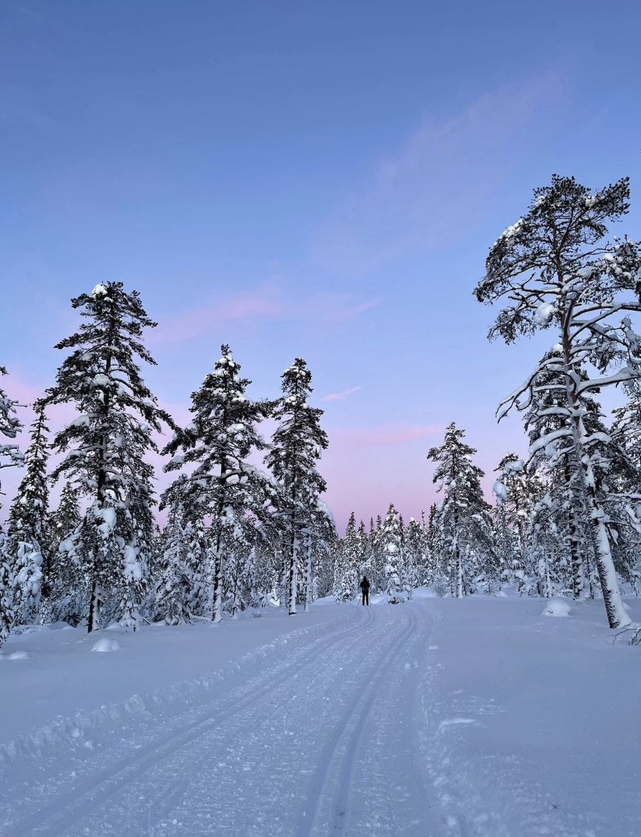 Lygna har flotte skiløyper for alle ferdighets nivåer Galleribilde