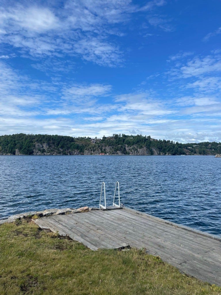 Badebrygge på fellesområde i umiddelbar nærhet Galleribilde