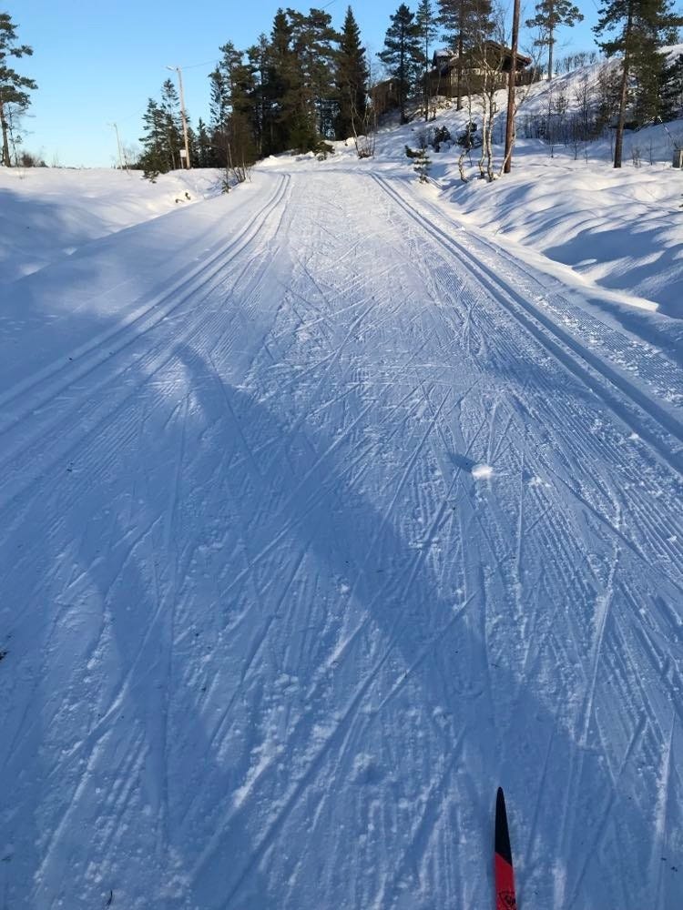 Preparerte skiløyper av høy standard, 50 meter unna hytta Galleribilde