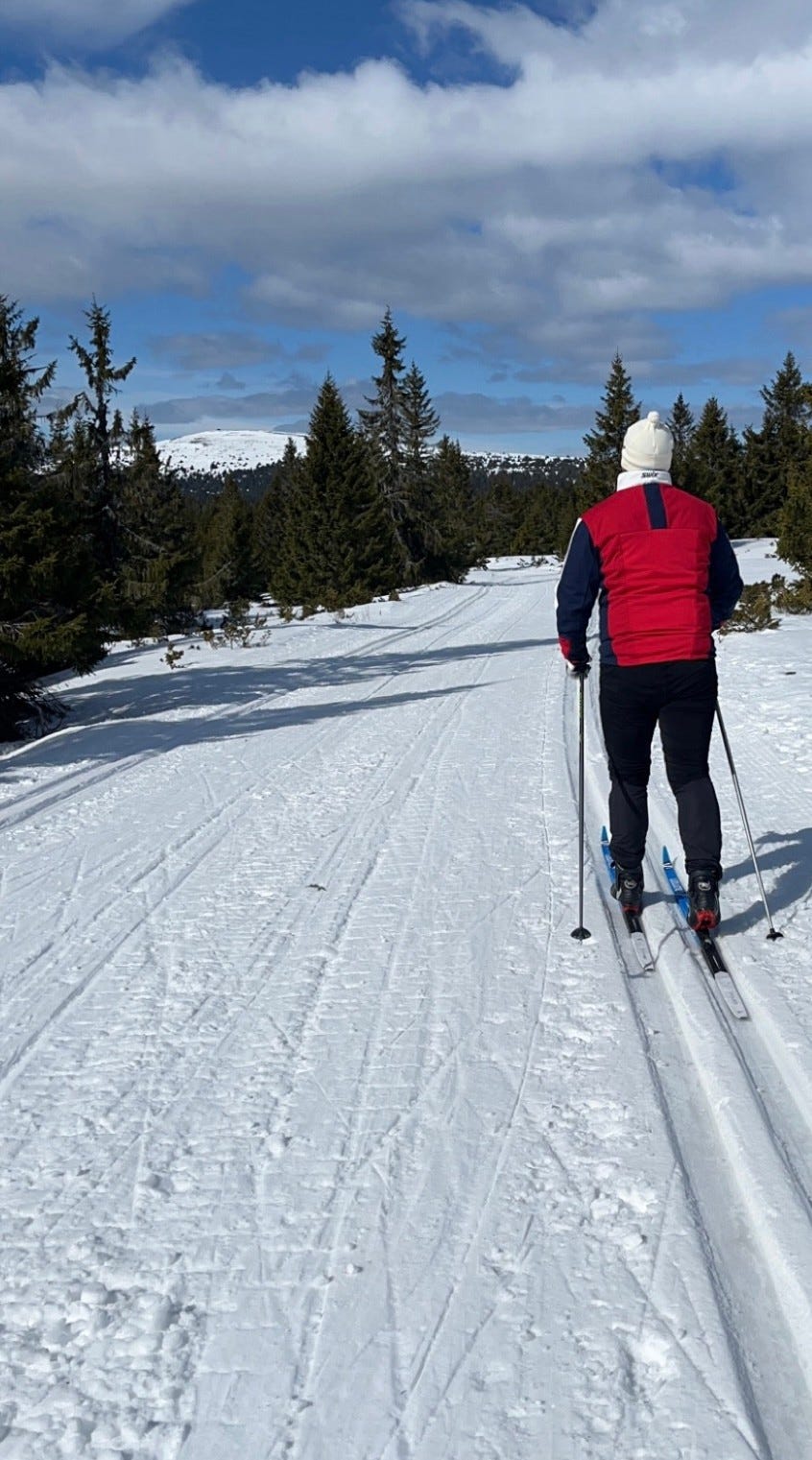 Utsikt mot Nevelfjell Galleribilde