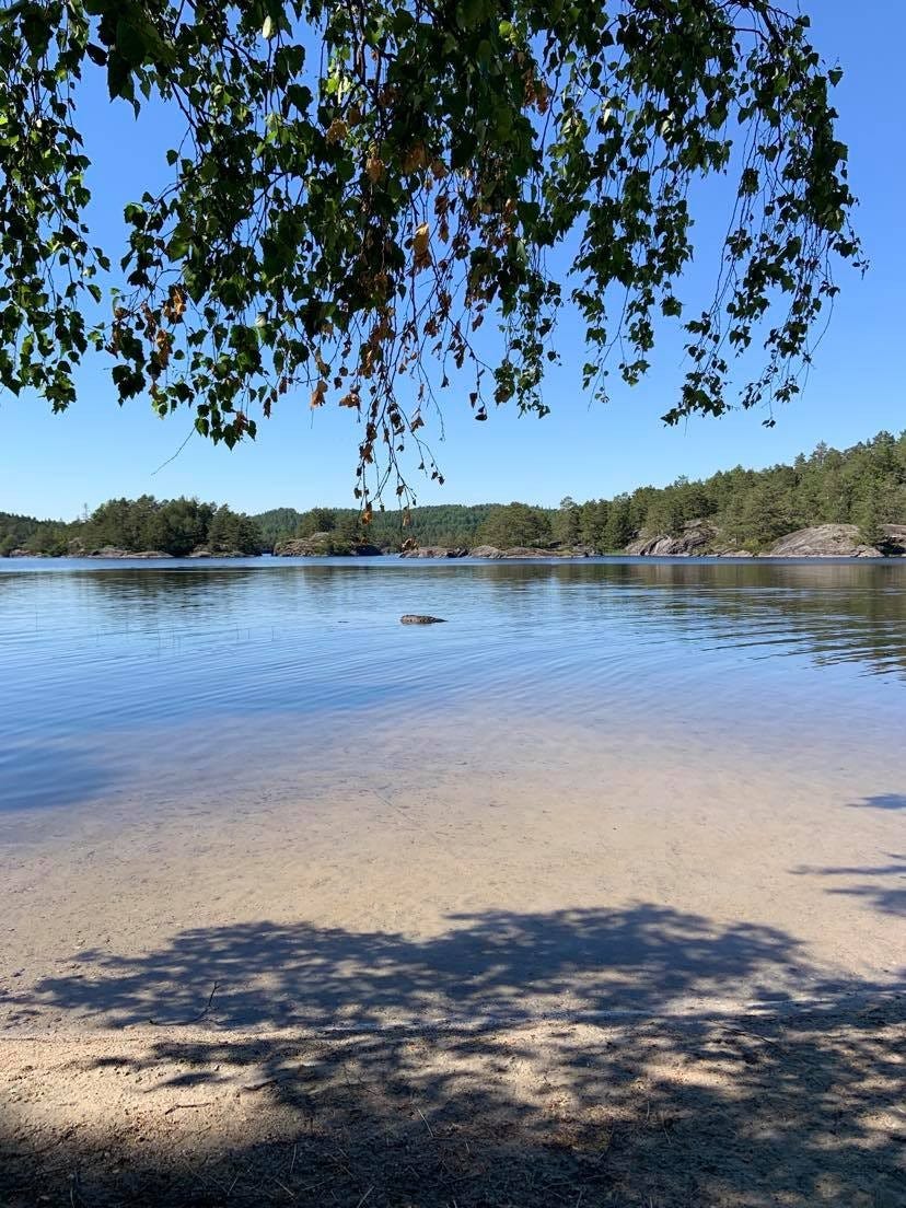 Skarvann med nydelig sandstrand kort avstand fra hytta. Galleribilde