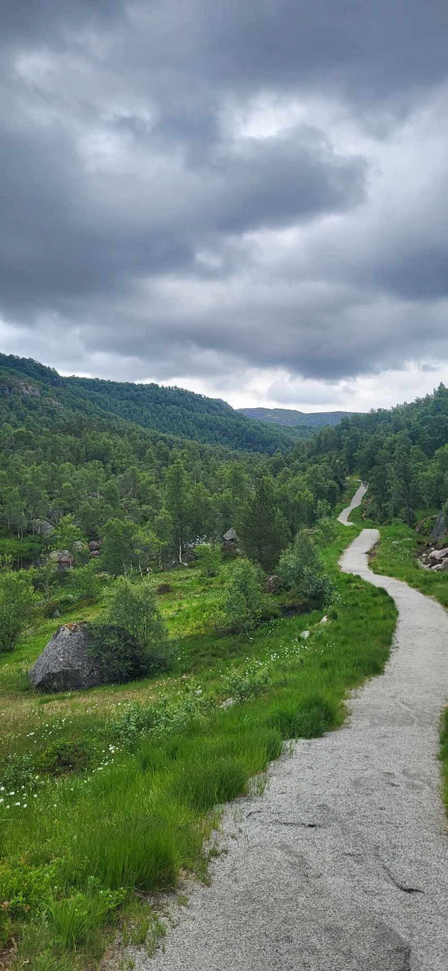 Nærområde- gå, jogge el skiløype på vinterstid Galleribilde