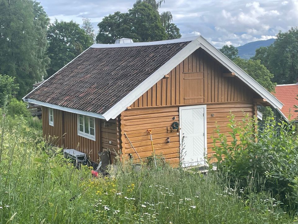 Bolig Til Leie I Søndre Land | FINN Eiendom