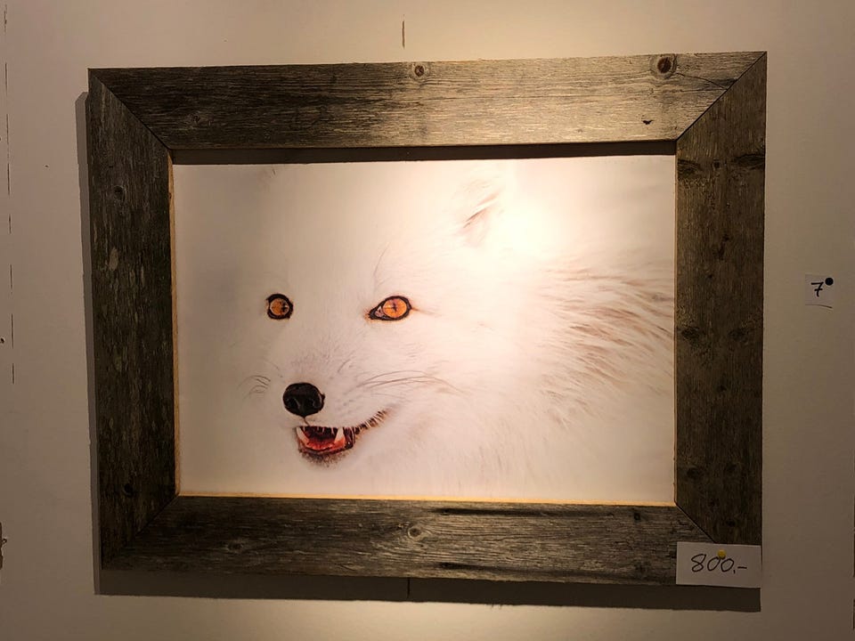 Galleribilde