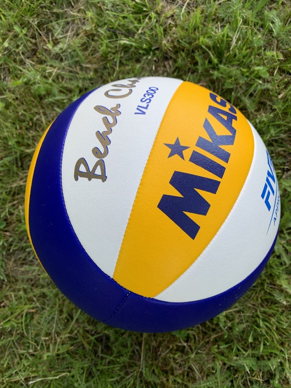 Volleyballnett i hagen. Galleribilde