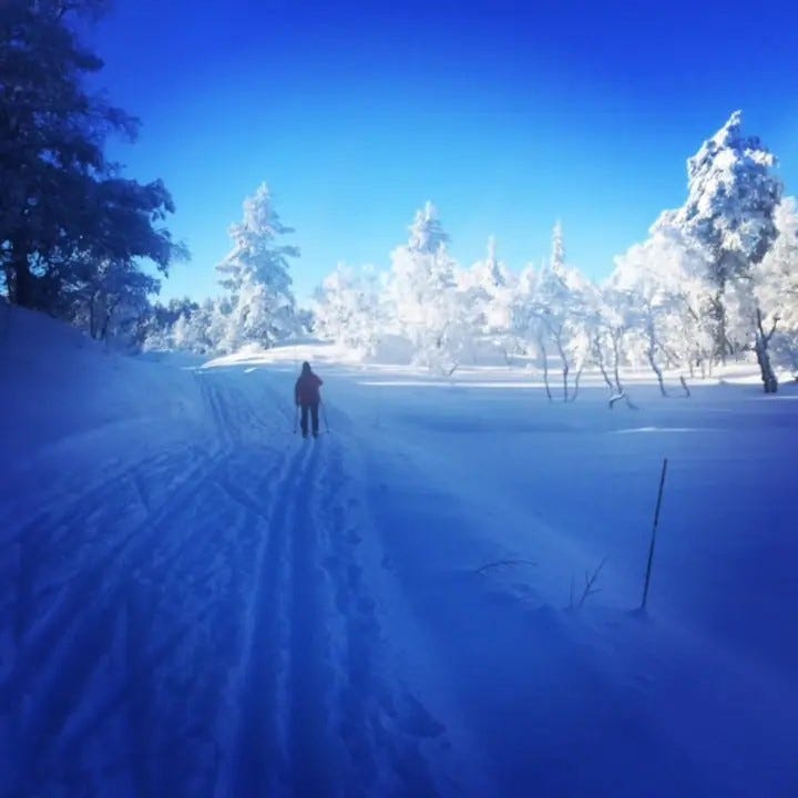 Turløype vinter Galleribilde