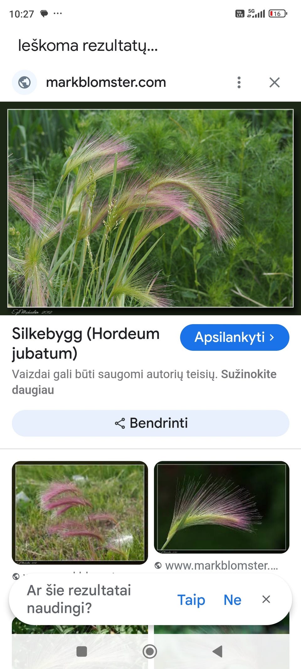 Galleribilde