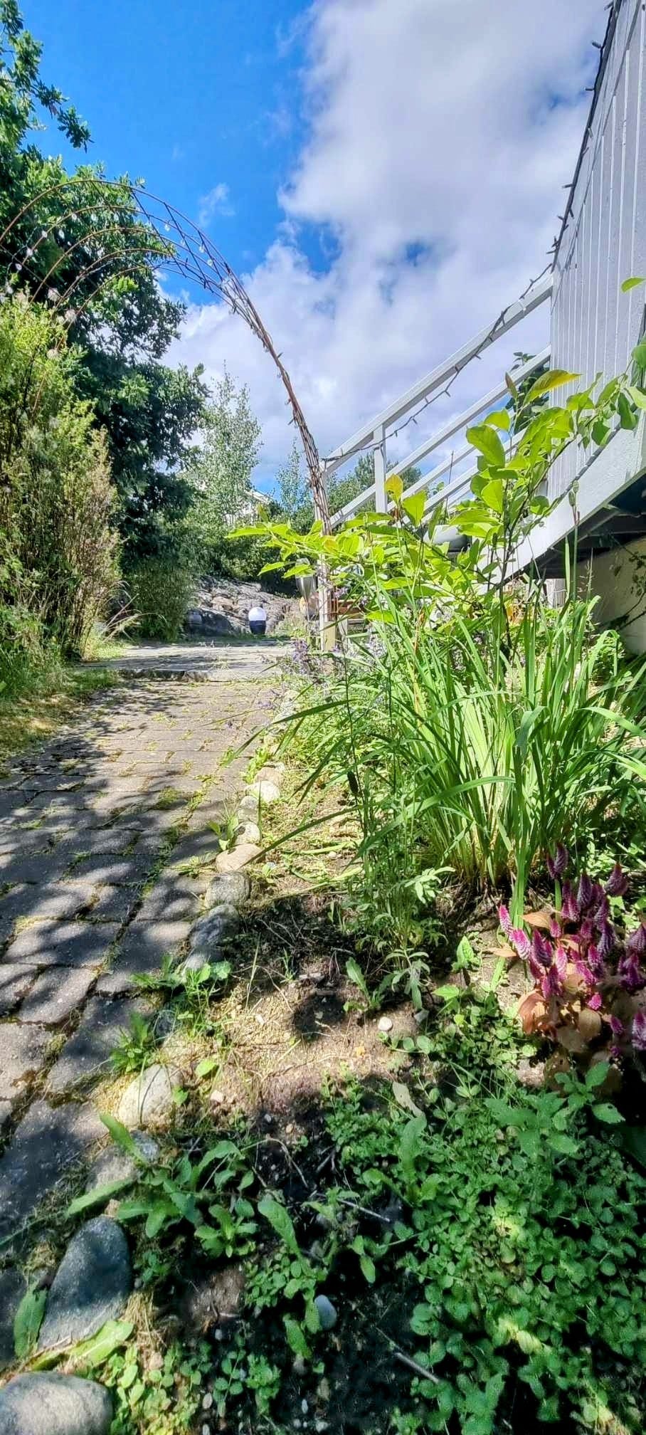 Hyggelige områder i stor hage Galleribilde