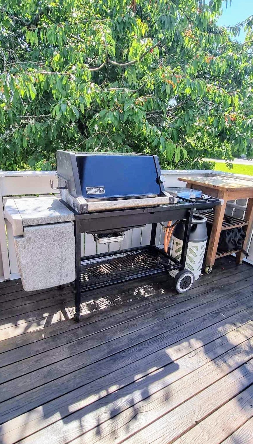 Grill til fri bruk Galleribilde