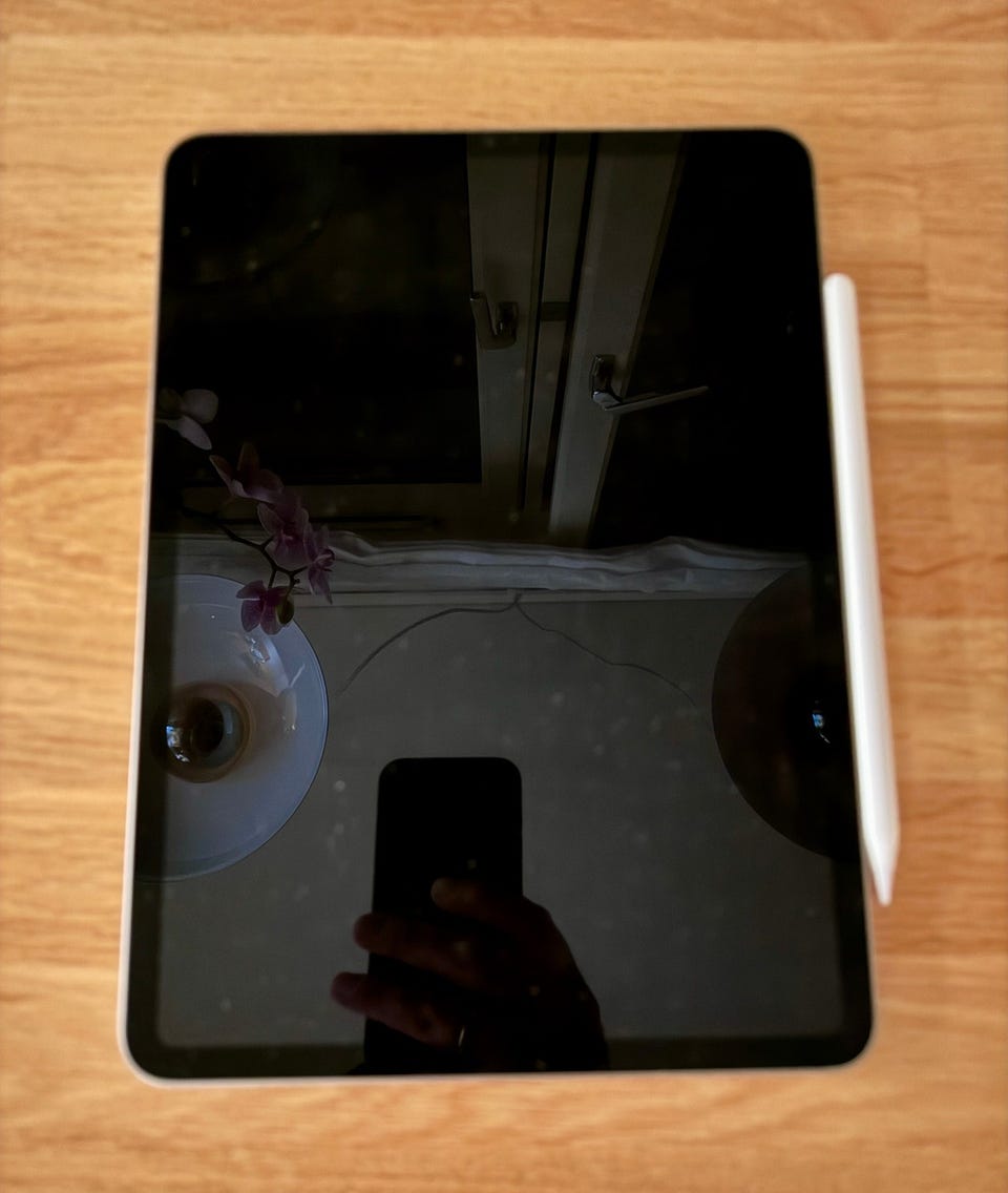 Svært pent brukt iPad Pro M2 11" 4. gen selges FINN