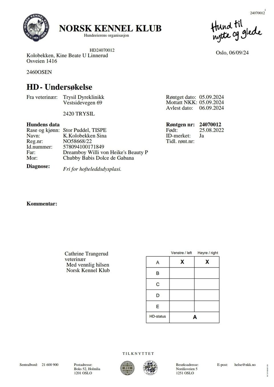 Galleribilde