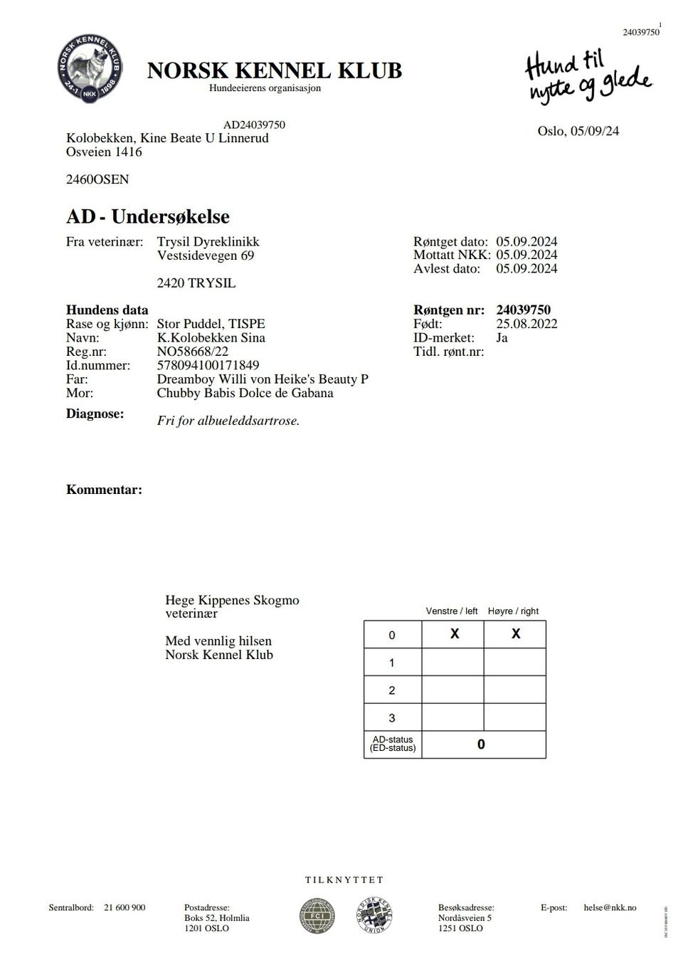 Galleribilde