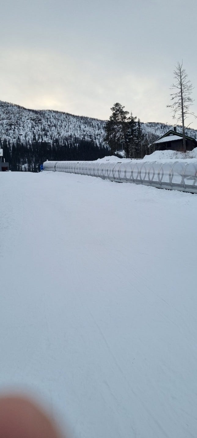 Skibånd Galleribilde