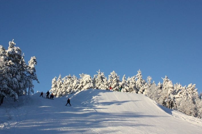 Oslo Skisenter, 5-10 min å gå fra huset. Galleribilde