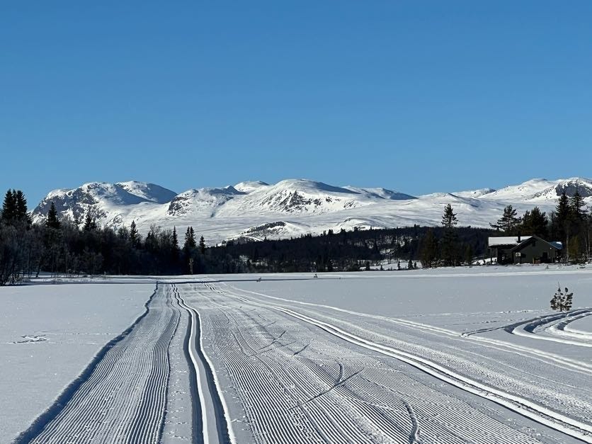 Skiløyper februar 2025 Galleribilde