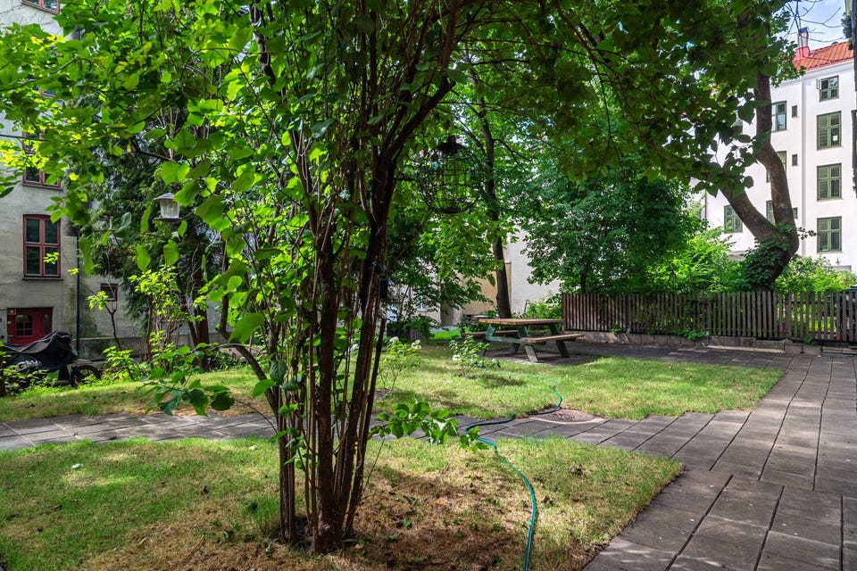 Felles gårdsrom med plen, frodig beplantning, gangarealer og sitteplass mellom bygårdene.