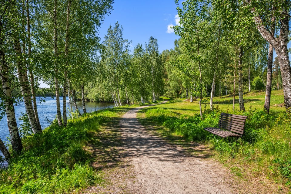 Solrik eiendom i første rekke mot Glomma I Pen enebolig fra 2020 I Dobbeltgarasje I Barnevennlig beliggenhet! — bilde 37