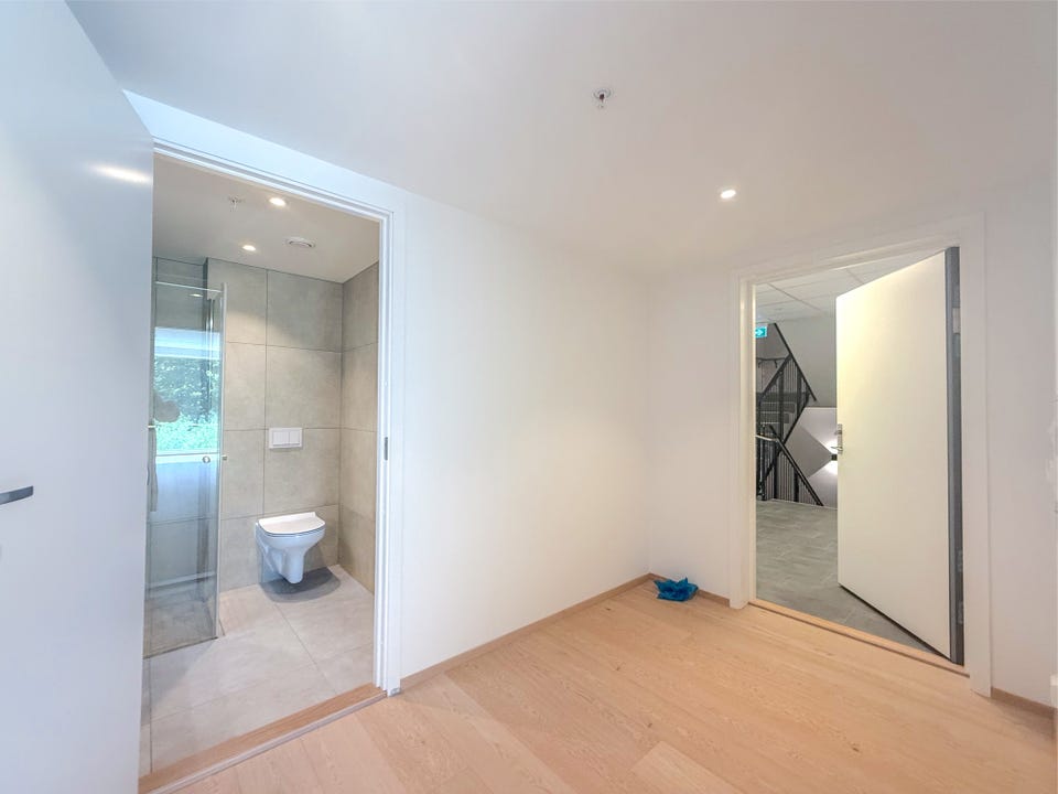 Entrance hall, where you can also see one of the bathrooms