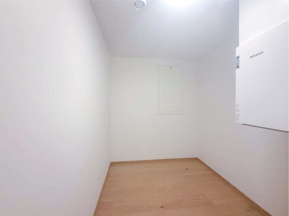Storage/walk-in closet off the entrance hall.