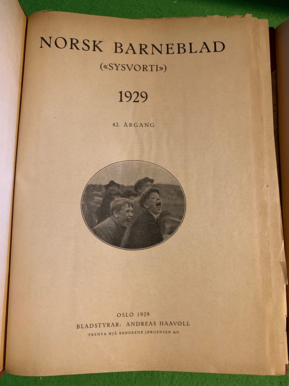 Galleribilde