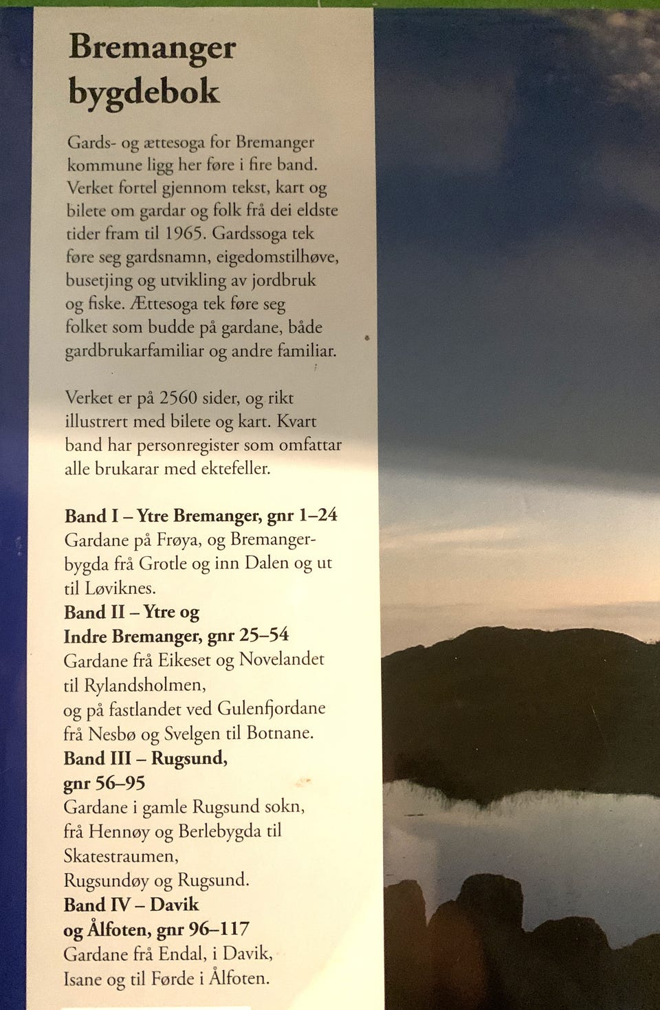 Galleribilde