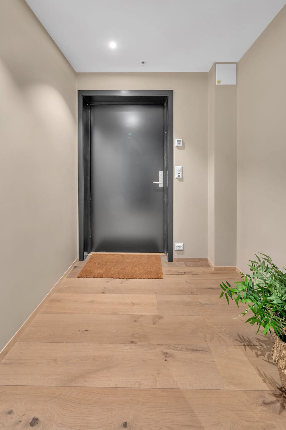 Entrance/hallway.