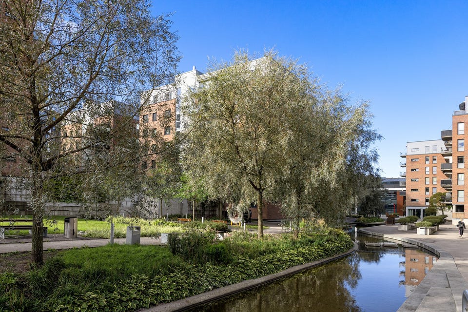 Områdebilde