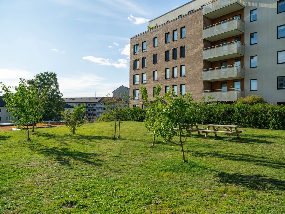 Store grønne fellesarealet opparbeidet med plen, beplantning og sittegrupper.