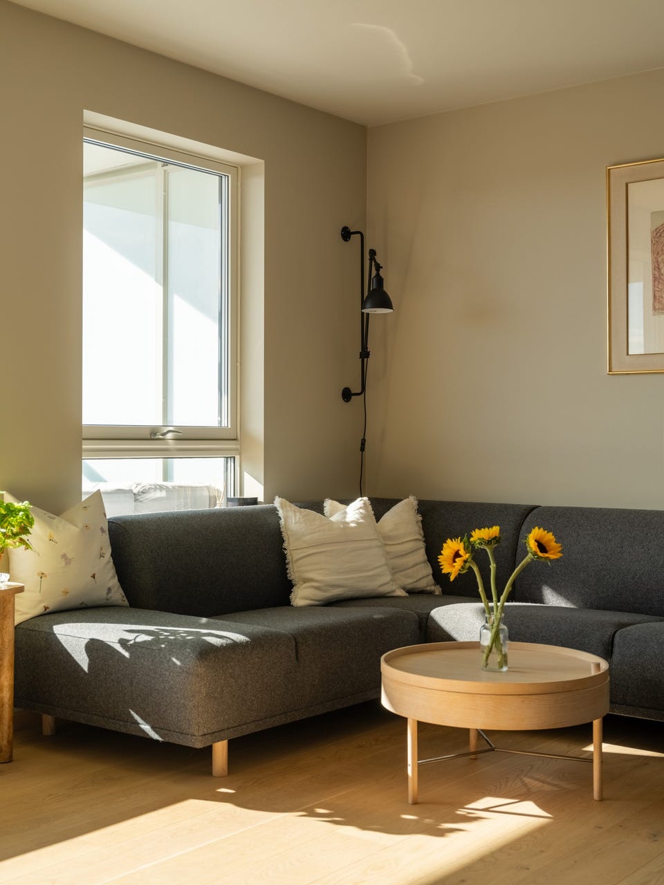 God plass til stor hjørnesofa.