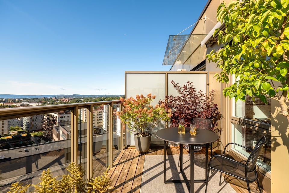 Her sitter du høyt, fritt og usjenert med fantastiske solforhold og panormautsikt!