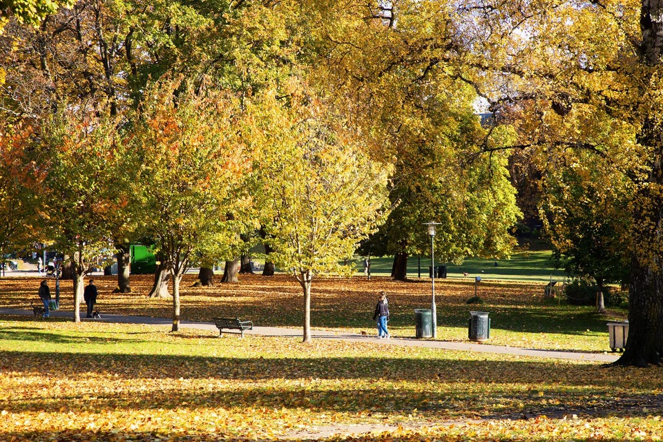 Nærområde: Kort gangavstand til Sofienbergparken