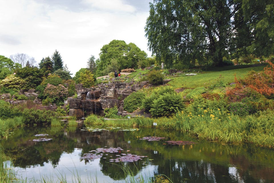Nærområde: Kort gangavstand til Botanisk hage