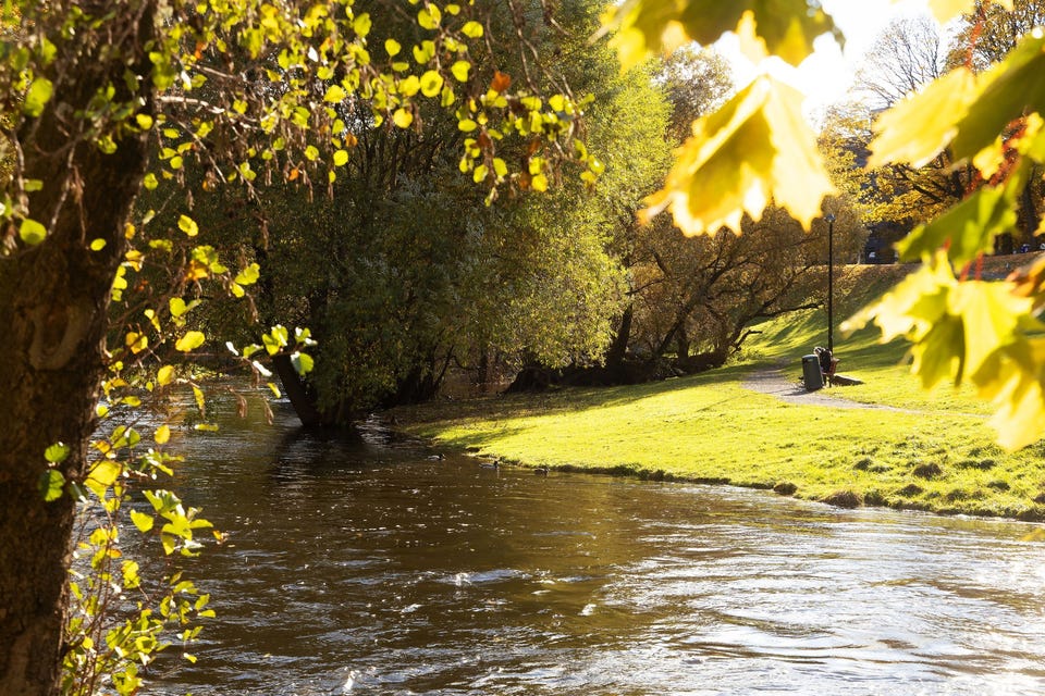 Nærområde: Flotte turmuligheter langs Akerselva