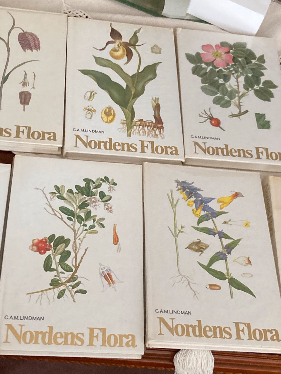 Nordens flora. C. A. M. Lindman 7 bøker | FINN-torget