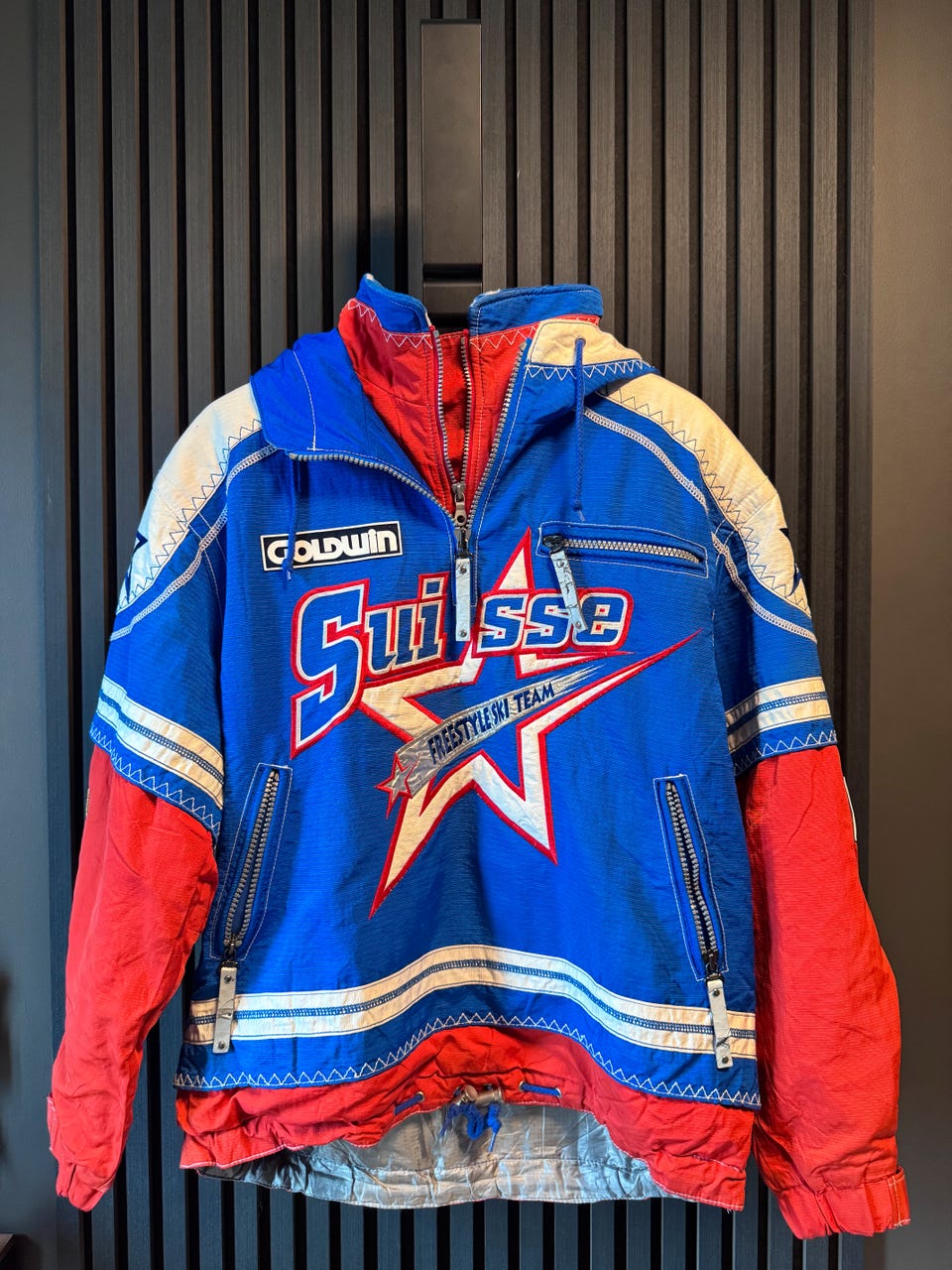 激レア90s スイスフリースタイル スキーチームフリースジャケットGoldwin Original Goldwin 