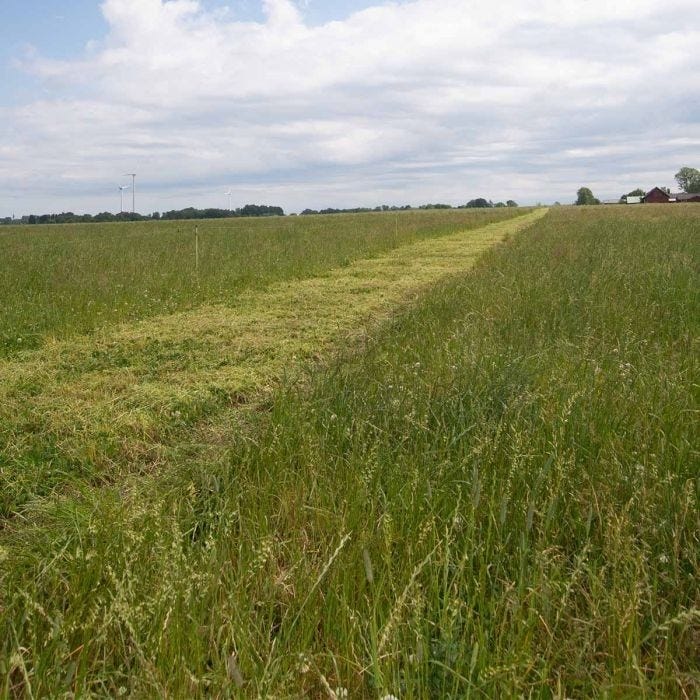 Kellfri XKE-240 beitepusser 2025 – bilde 12 av 14