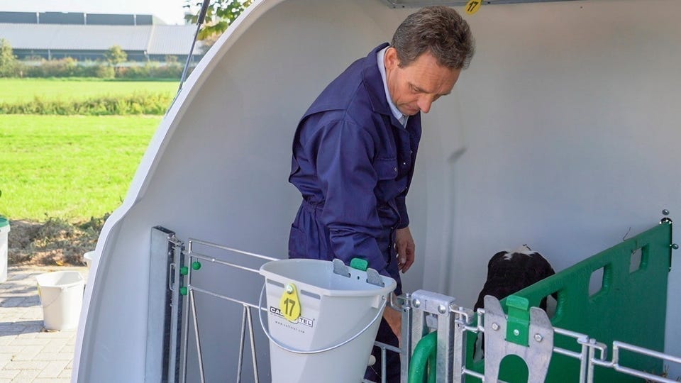 Calf-O-Tel Hybrid kalvehytte 2025 – bilde 2 av 6