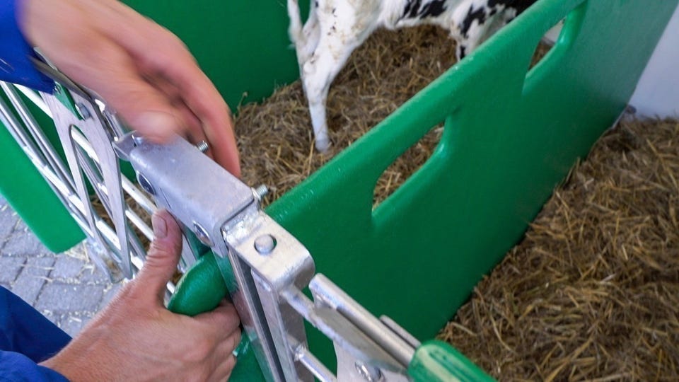 Calf-O-Tel Hybrid kalvehytte 2025 – bilde 3 av 6