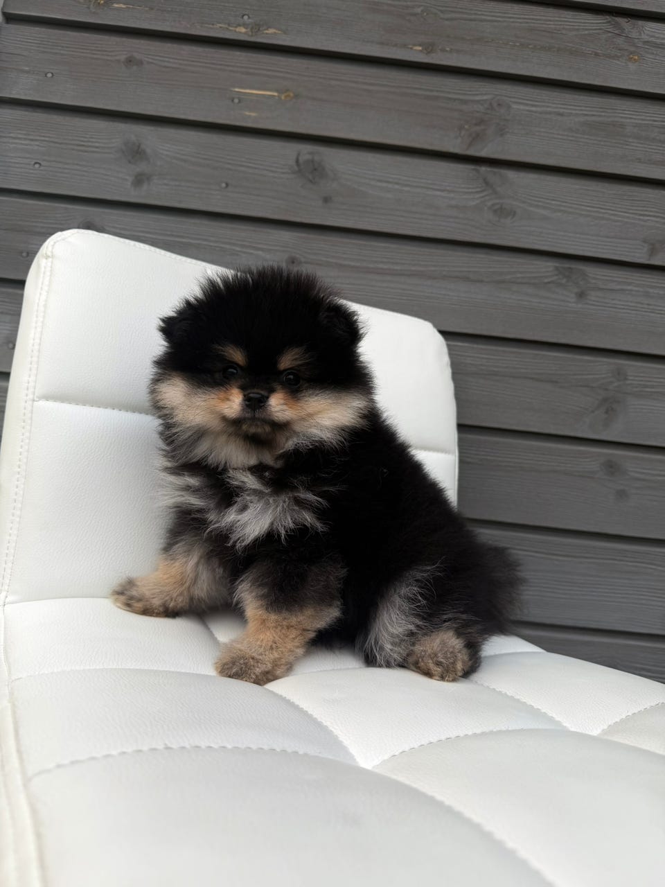 Product image 14 of 19