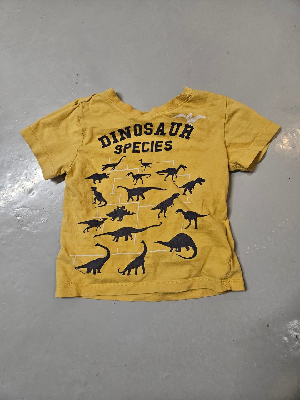 Product image 36 of 43