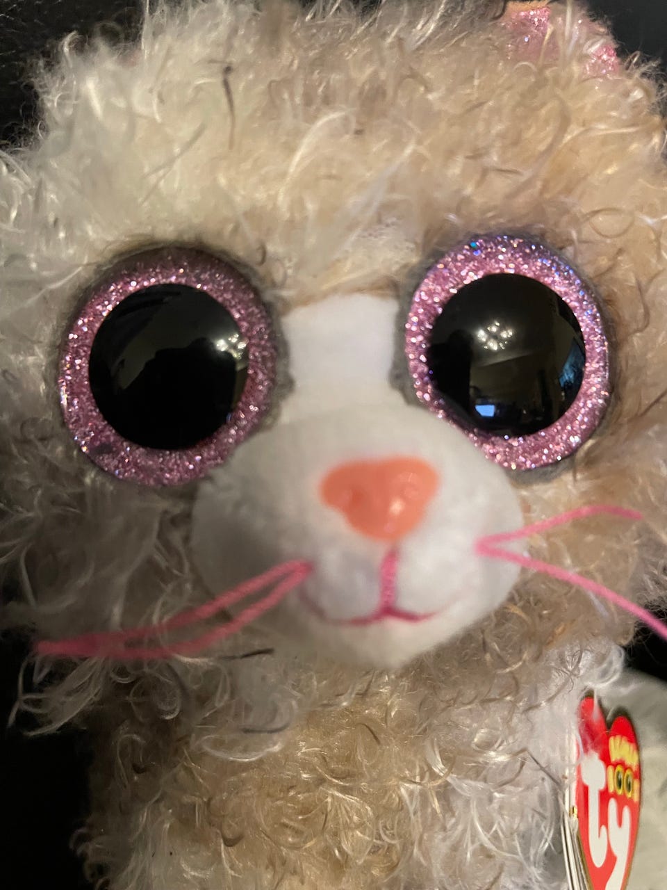 Ty Beanie Boos 