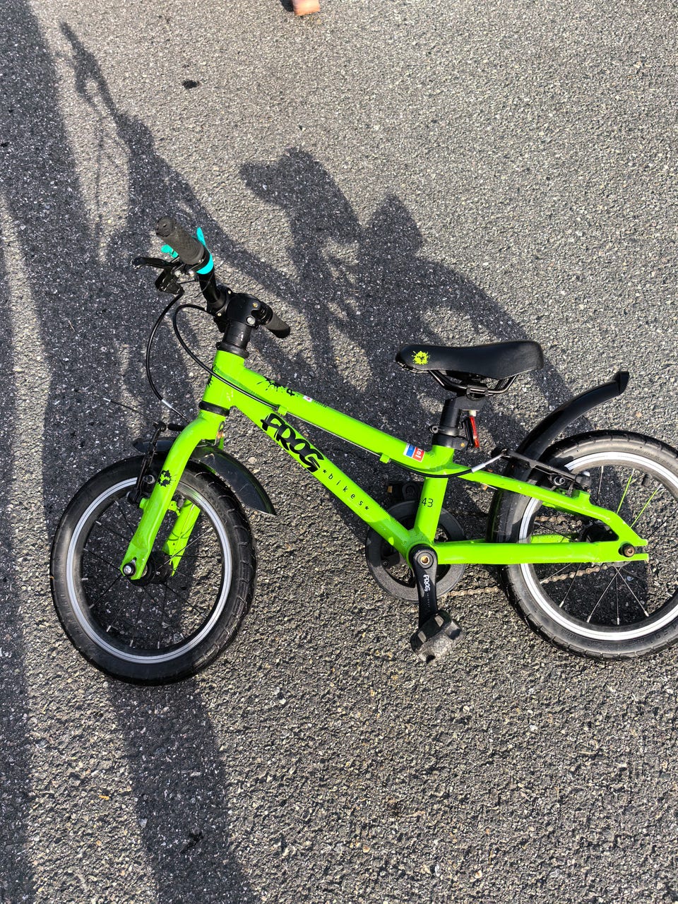 Bicycle Frog 43 Green Bike Frog 43 Size Guide Frog Bikes Frog 52