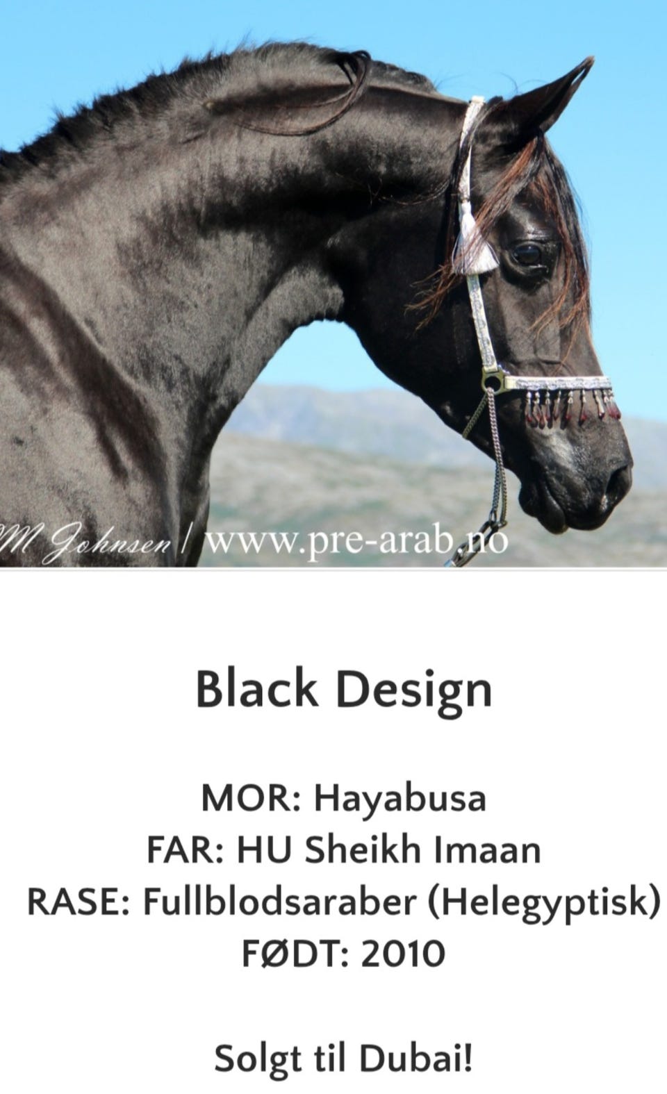 Product image 18 of 23
