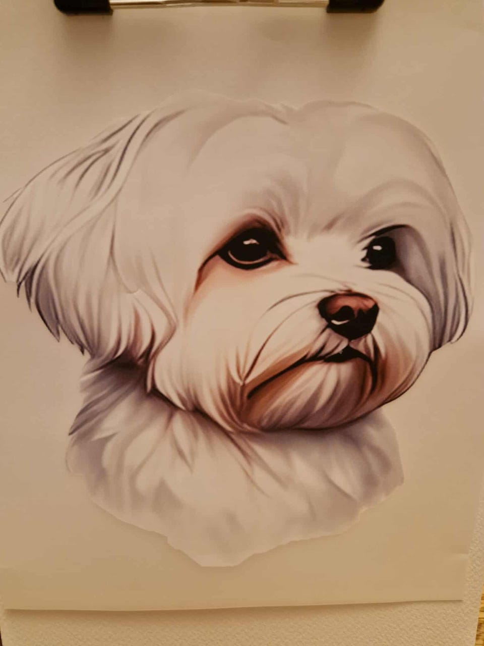 Product image 23 of 88