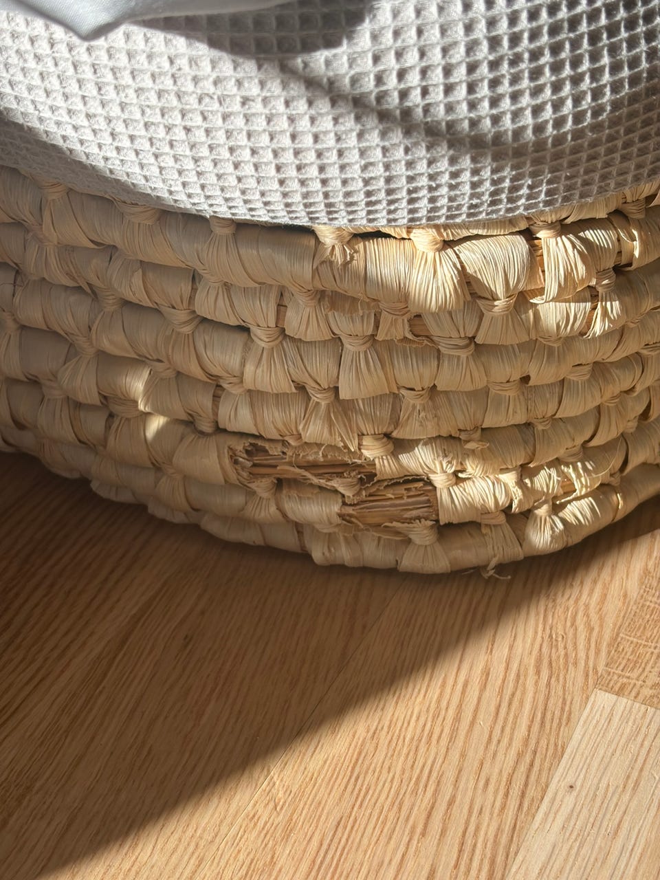 Product image 6 of 11