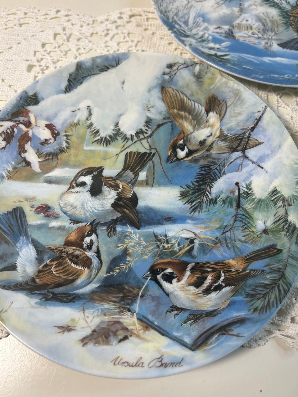 Product image 5 of 12