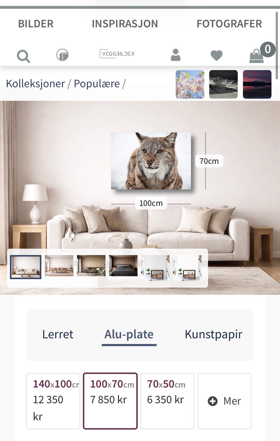 Galleribilde
